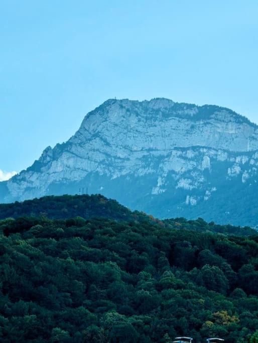 Magnifique T2 Refait A Neuf - Calme & Tout Equipe Avec Parking Grenoble Kültér fotó